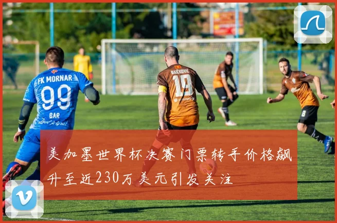 美加墨世界杯决赛门票转手价格飙升至近230万美元引发关注